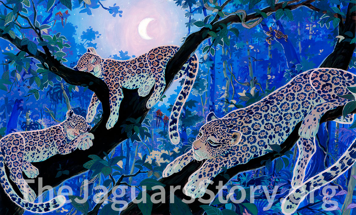 La Historia Del Jaguar Un Libro Para Ninos Que Inspira El Cuidado De La Madre Tierra En Ingles Portal De Iskcon Noticias